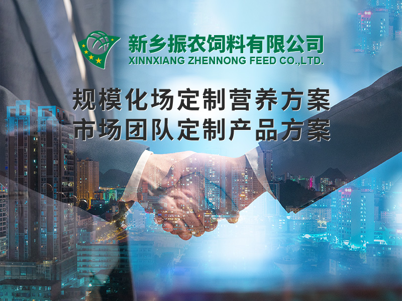 規(guī)?；喼?>
                          </div>
                          <div   id=